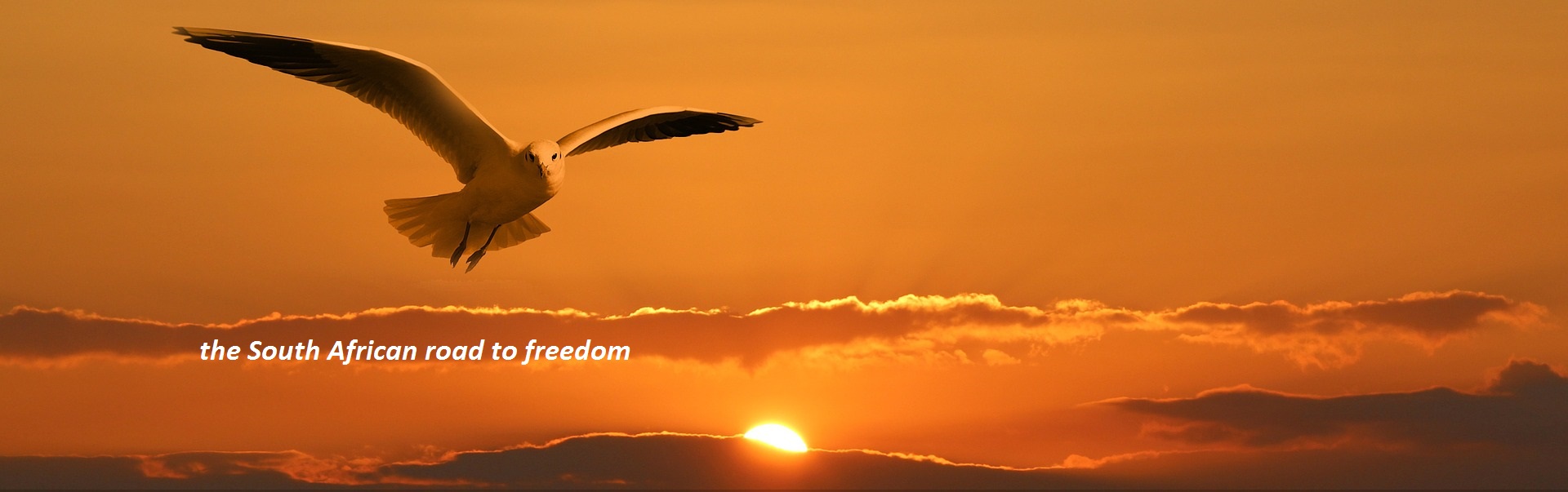 The South African Road to Freedom